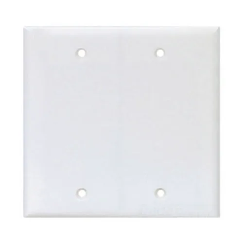 Eaton PJ23W 2-Gang Blank Box Mount Plate, White — EATON